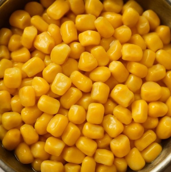 Corn - FA Series