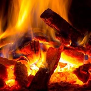 Hovedbilde Red Oak - TFA Series